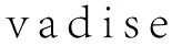 vadise.com.mx
